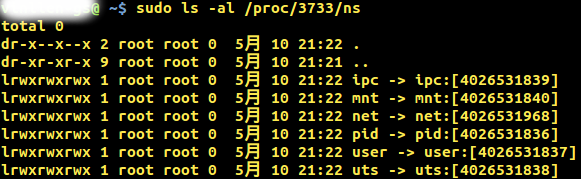 ns1